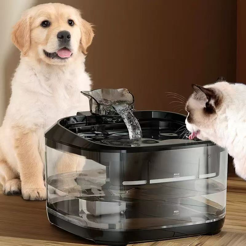 宠物喂食器