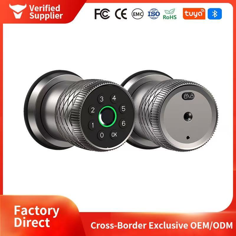 Smart Door Lock OEM/ODM Manufacturing: Secure Entry Products for Global Brands